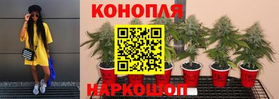 молекула духа Малоярославец