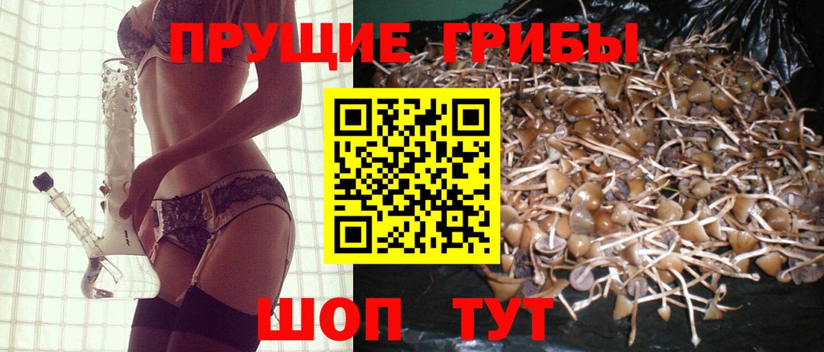 Псилоцибиновые грибы Cubensis Фурманов